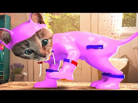 Fun Pet Animals Care Games - Little Kitten Adventure - Kids Learn Colors,Puzzles, Pet Costumes's Avatar