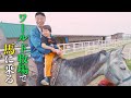 ワールド牧場で馬に乗る