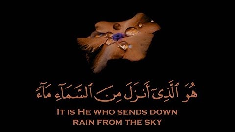 قران كريم | سورة النحل | القارئ ياسر الدوسري | تلاوة خاشعة😌❤️ | حالات واتس اب قران