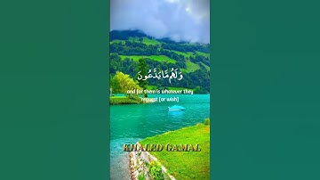 {إِنَّ أَصْحَابَ الْجَنَّةِ الْيَوْمَ فِي شُغُلٍ فَاكِهُونَ} سورة يس 55-58 #quran
