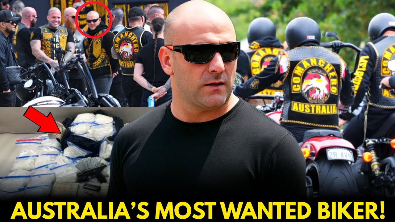 ⁣Mark Buddle: The Fugitive Who Led Australia’s Most Feared Biker Gang