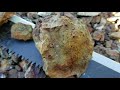 Gold and Copper Ore Vein