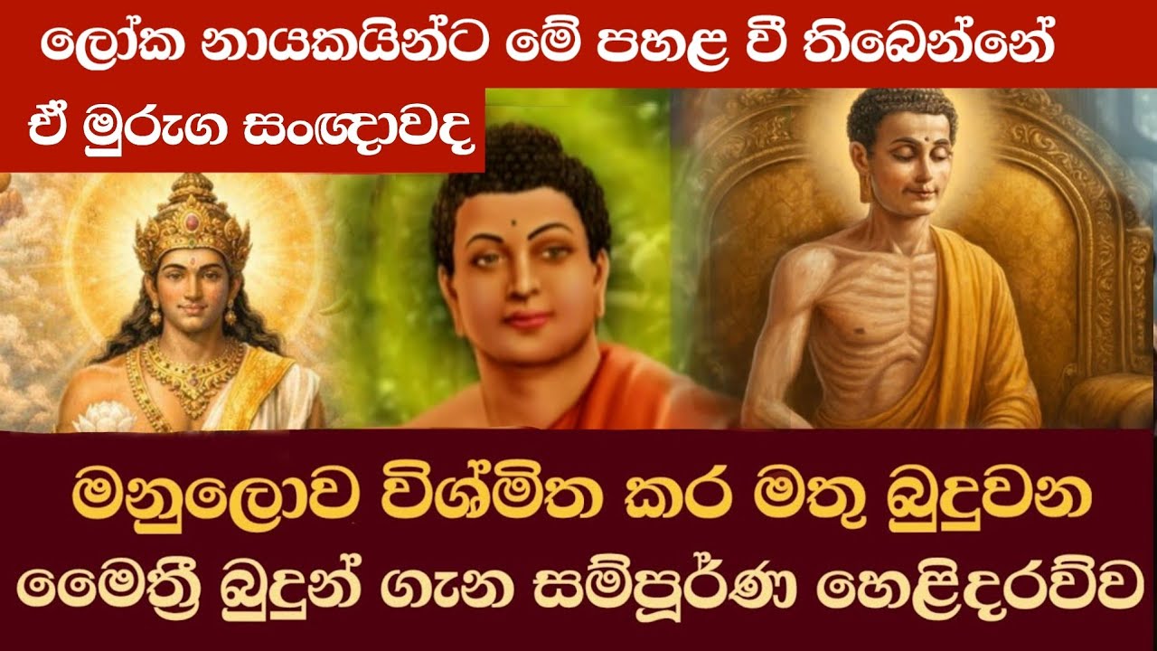 පුදුම සහගත වූ  මතු බුදුවන මෛත්‍රී බුදු හිමිගැන ඔබ නොදන්න සම්පූර්ණ හෙලිදරව්ව | #buddha | story
