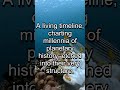 The Deep Sea's Living Time Capsules