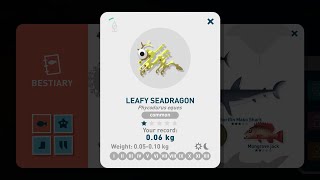 Creatures of the Deep - Leafy Seadragon