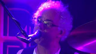 The Cats Aglow   Nico Veeken  Daybreak