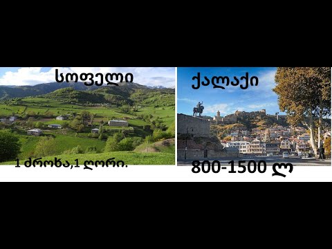 სად მეტი შემოსავალია? რომელია უკეთესი