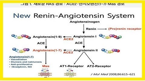 관상 동맥 질환에 대한 안지오텐신 전환 효소 (ace) 저해제