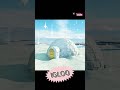 what is IGLOO?🥶