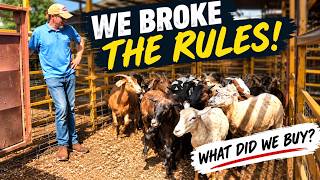 We Broke Our Own Rules at the Sale Barn - What Did We Buy?