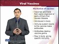 BT601 Virology Lecture No 206