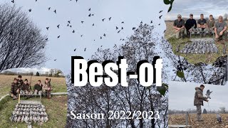 ANNONCE + BEST OF des plus belles scènes de chasse à la palombe de la saison 2022/2023 (COMPILATION)
