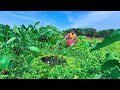 Amazing Fishing Video🐬🐬✔✔ | Village Lady Hook Fishing in canal #fishing_video_2022 #fishingmethods