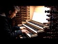 Amazing grace on the largest pipe organ in the netherlands  st laurenskerk rotterdam  paul fey