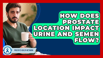 How Does Prostate Location Impact Urine And Semen Flow? - Prostate Health Network