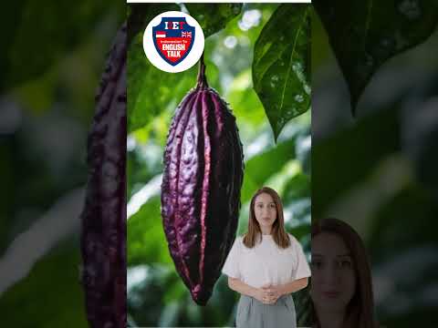 PART-2. TROPIS FRUITS (BUAH-BUAHAN TROPIS) #indo2engtalk
