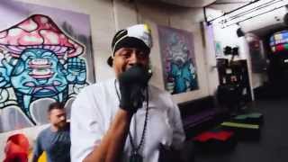 Dub Fx & Chali 2na • In Another Life chords