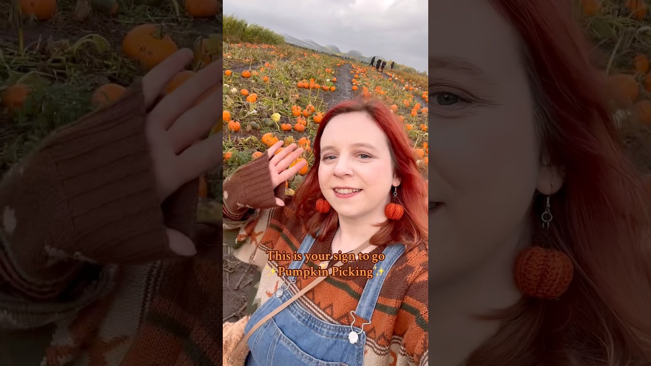 Pumpkin Picking! 🎃 #pumpkinpicking #pumpkinpatch #pumpkin #jackolantern #spookyseason #halloween