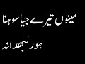 مینوں تیرے جیا سوہنا ہور لبهدا نہ مینوں تیرے جیا سوہنا ہور لبهدا نہ