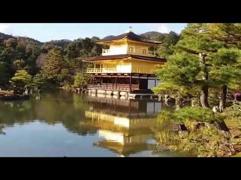 Templo Do Pavilhao Dourado Youtube