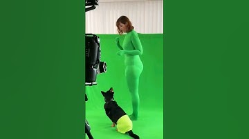 Filming It Yourself Brings Bub the Ghost Dog to live-action In a behind-the-green-screen peek!