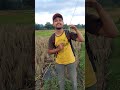 Mancing ikan di irigasi sungai #ikan #mancing #sungai #mancingikan #ikanpredator #bolang