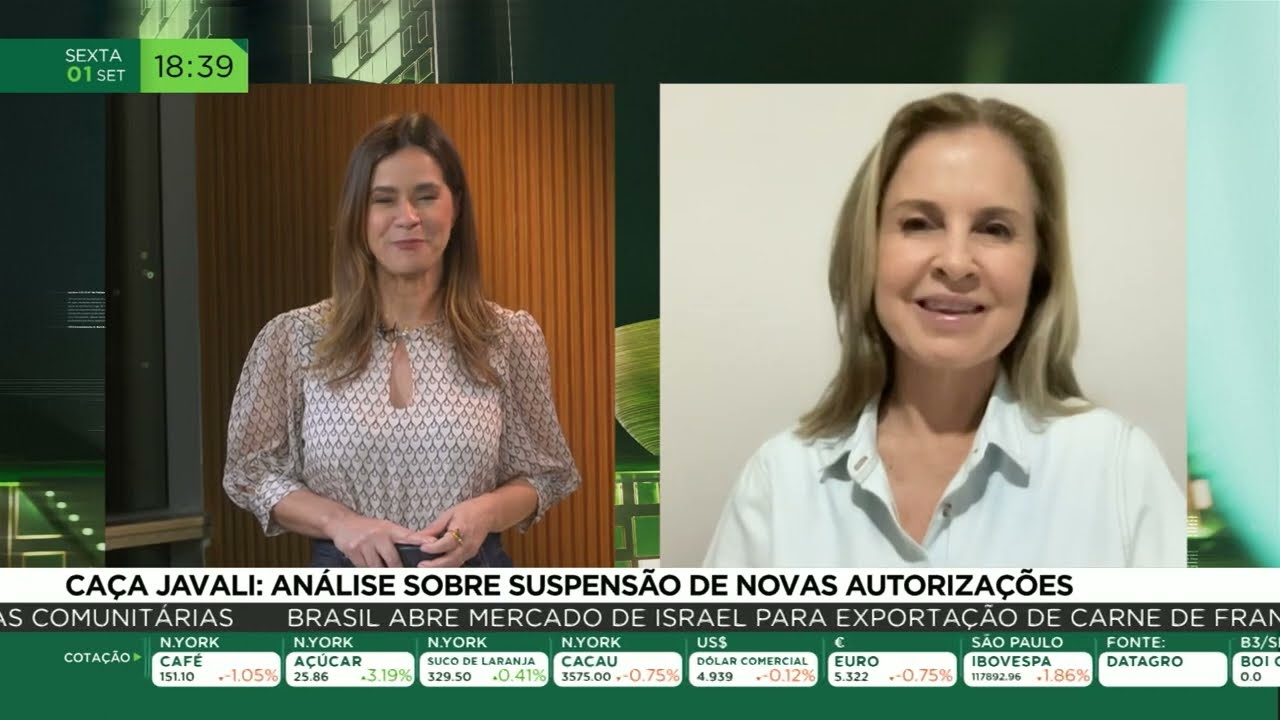 Caça javali: análise sobre suspensão de novas autorizações