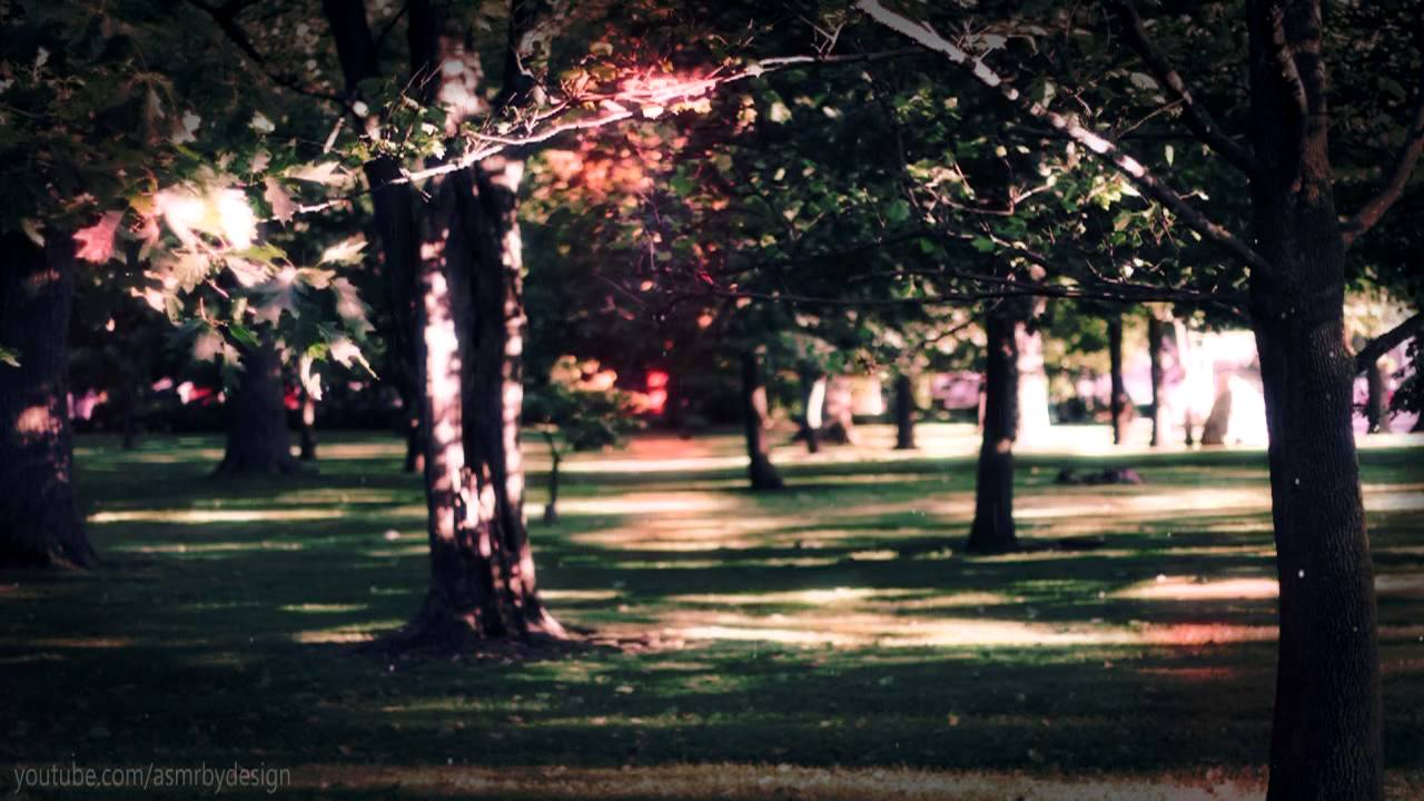 Binaural 3D ASMR - Head-Tingle Massage w/ Unintelligible Whispers & Relaxing Forest Visuals