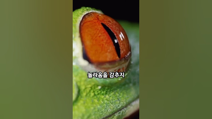 화려한 비밀: 붉은눈나무개구리의 놀라운 방어술