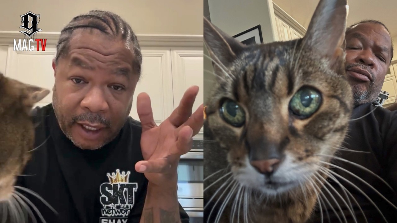 "I Had No Idea" Xzibit Can't Believe His Cat Is Going Viral! 😸