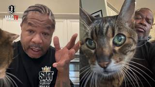 'I Had No Idea' Xzibit Can't Believe His Cat Is Going Viral! 😸