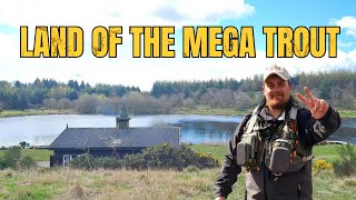 Ledyatt Trout Fishery - Land of the Scottish MEGA Trout