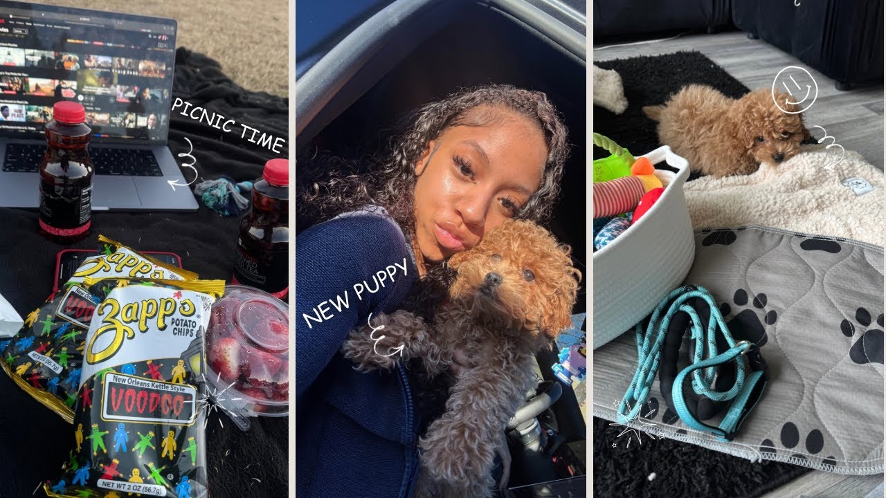 VLOG: I GOT A PUPPY! First 72 hours + Puppy Prep , Cooking , Picnic + MORE