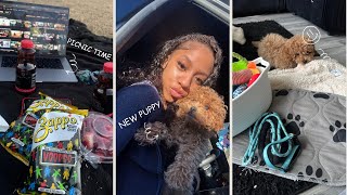 VLOG: I GOT A PUPPY! First 72 hours + Puppy Prep , Cooking , Picnic + MORE
