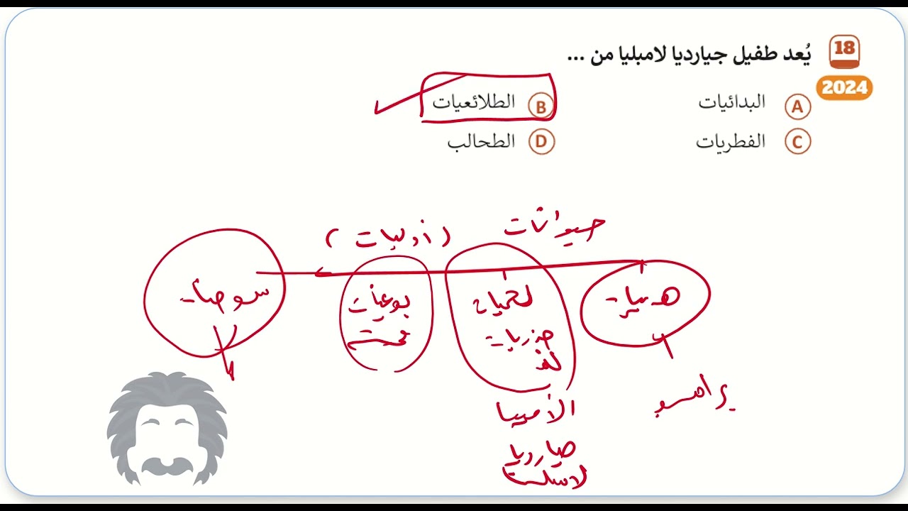 تجميعات | مملكة الطلائعيات