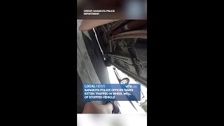 Sarasota Police Save Kitten Trapped in Wheel Well of Stopped Vehicle
