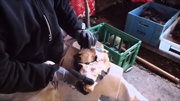 Reduction of a Danish Flint Dagger