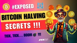 Bitcoin Halving explained | BTC Halving Insights | Blockchain & Mining theory | TechZnap