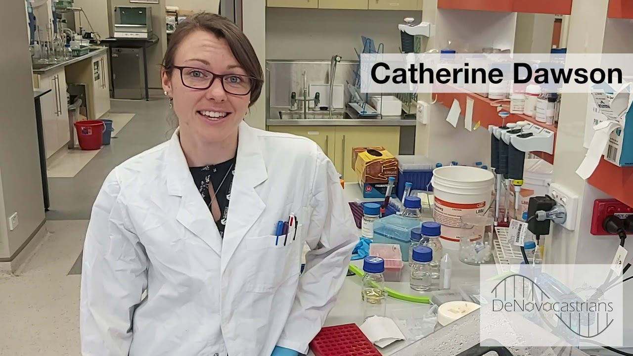 introducing Catherine Dawson