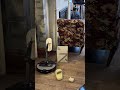 Using Roborock Saros Z70 to Pick Up A Slipper