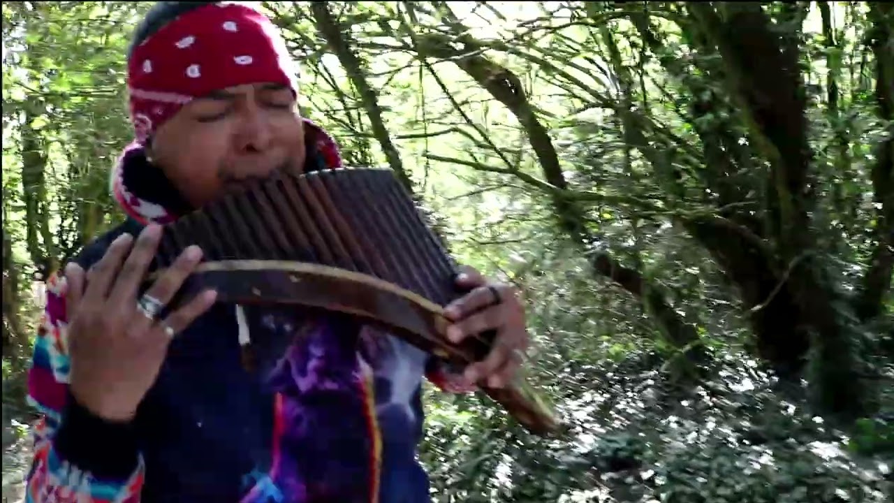 Huellas - Metasequoia  / Video Official  (Cover)