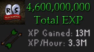 Osrs Lynx An 200M All Skills - Fastest 99 In Runescape