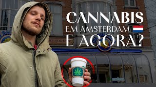 AMSTERDAM ainda é a capital da CANNABIS? A verdade sobre os COFFEESHOPS e a LEGALIZAÇÃO na Holanda