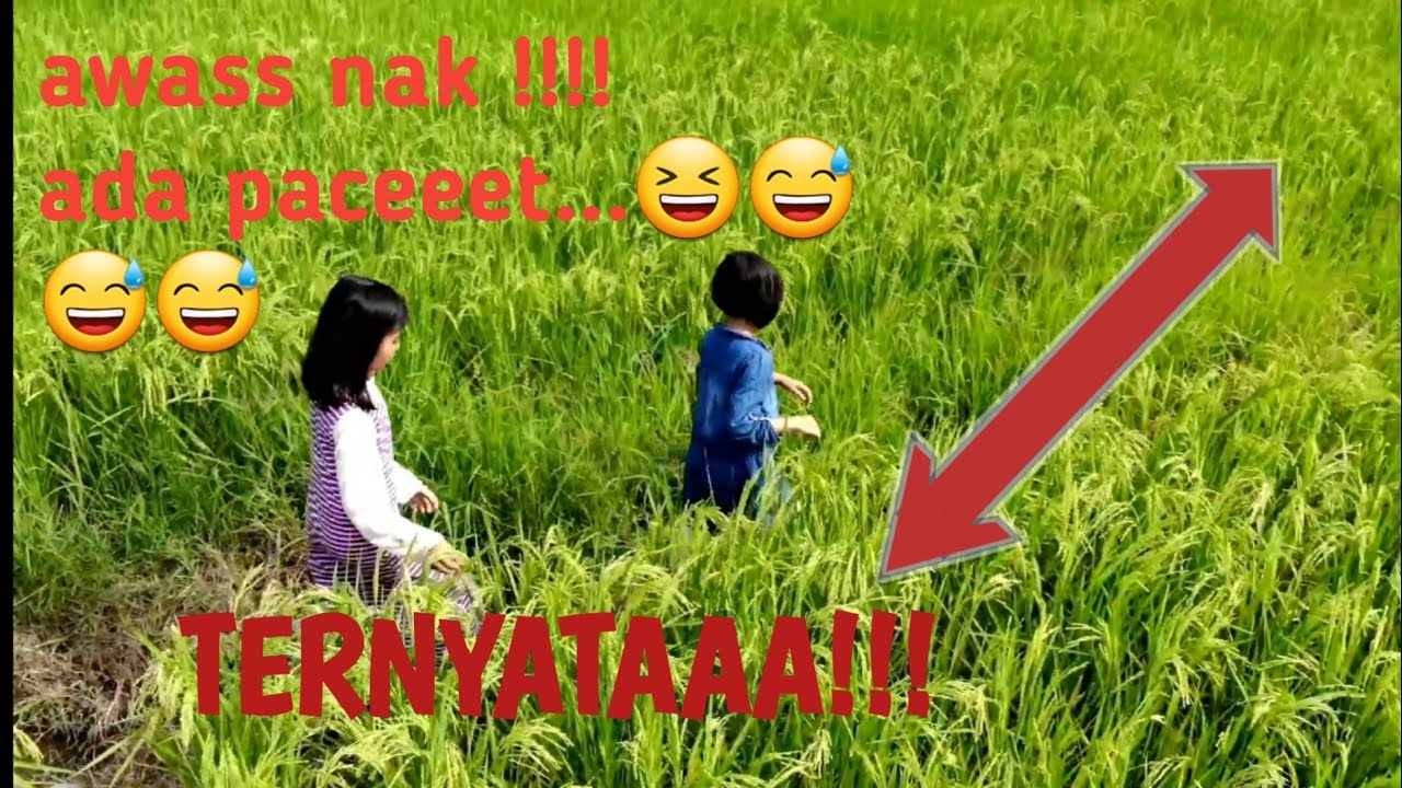 test fitur follow me, activ track dji mavic air.