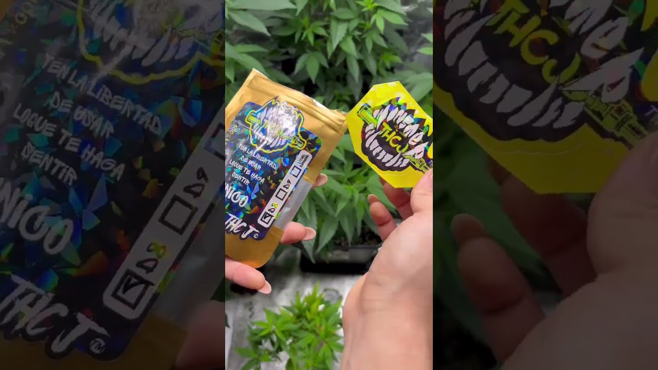 DELTA 8 live RESIN X Monsterthcj