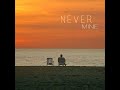 FADI NEVER MINE Official Audio FADI NEVER MINE Official Audio