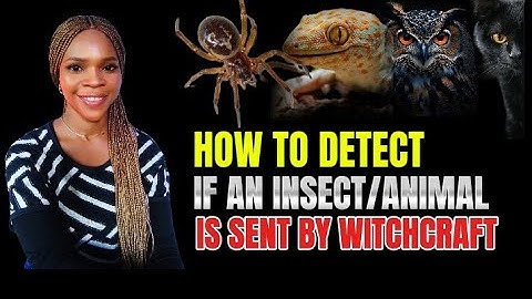 THIS IS HOW TO DETECT AN INSECT OR ANIMAL SENT BY WITCHCRAFT TO MONITOR YOU