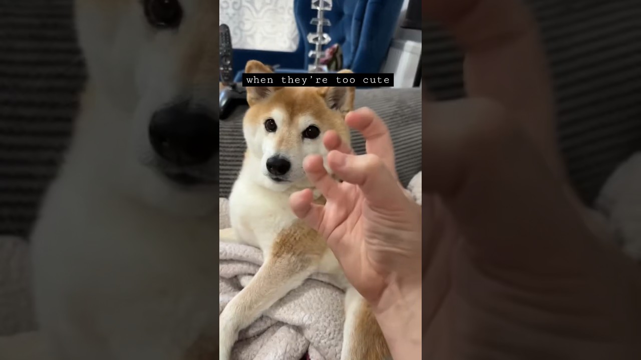 так мило, я злюсь 4