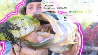 Fishing With Only GIANT Baits!