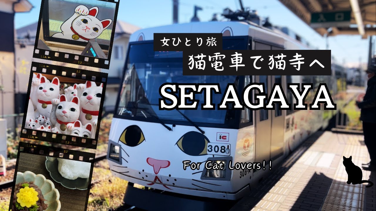 Поездка на кошачьем поезде в храм Кошки за новогодними благословениями!